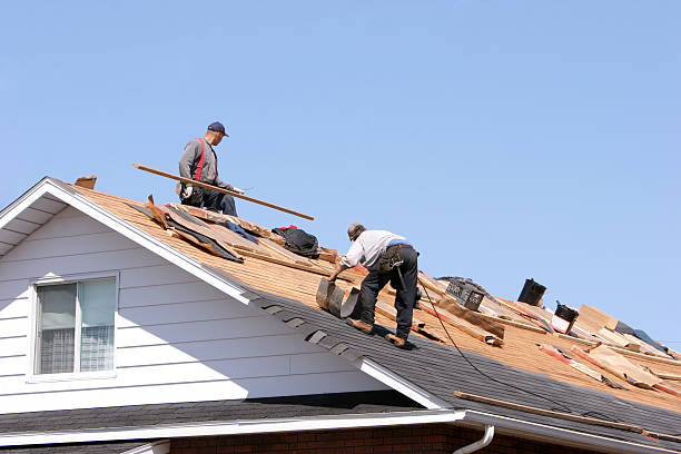 Best Metal Roofing Installation  in Hernando, FL